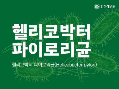 [건강의학정보] 헬리코박터 파이로리균