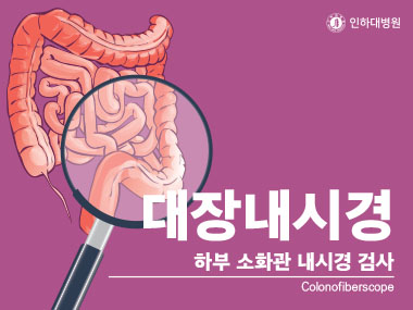 [건강의학정보] 대장내시경