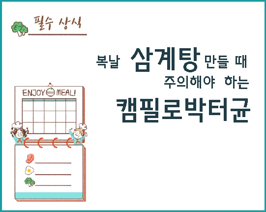 복날 삼계탕 만들 때 주의해야 하는 캠필로박터균