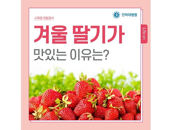 [사계절 제철음식] 겨울 딸기가 맛있는 이유는? 