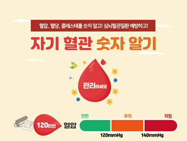 [인포그래픽] 자기혈관 숫자알기