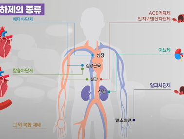 고혈압 약물치료와 정기검진 - 고혈압 예방관리