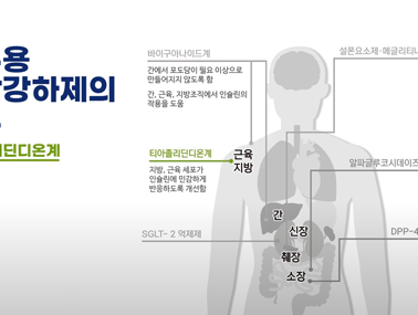 당뇨병 약물치료와 정기검진 - 당뇨병 예방관리