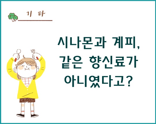 시나몬과 계피, 같은 향신료가 아니었다고?