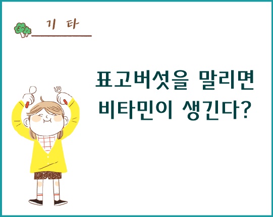 표고버섯을 말리면 비타민이 생긴다?